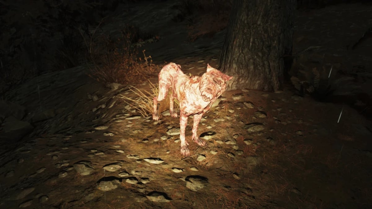 Combattre un loup dans Fallout 76.