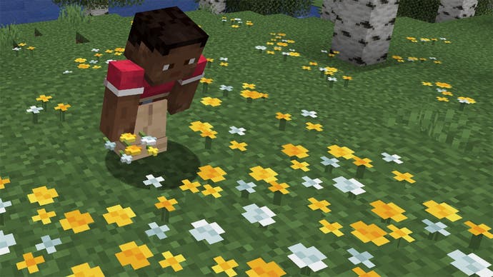 Une capture d'écran de Minecraft montrant un joueur regardant des fleurs sauvages dans une prairie.